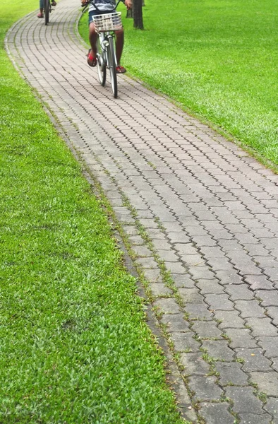 Percorso di pietra nel Parco Verde — Foto Stock