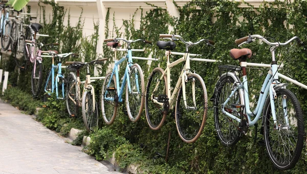 Εκλεκτής ποιότητας ποδήλατα στον τοίχο — Φωτογραφία Αρχείου