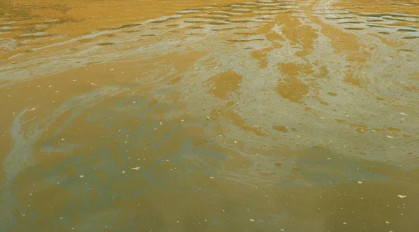 Textura del pantano en el estanque —  Fotos de Stock