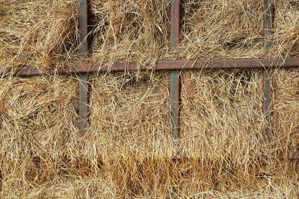农场中的干黄干草 — 图库照片