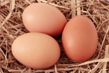 saman üzerinde taze yumurta 