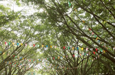 Renkli kiraz kuşu bayrakları yeşil ağaçlar karşı