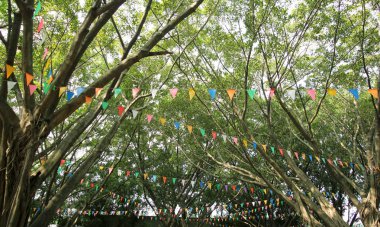 Renkli kiraz kuşu bayrakları yeşil ağaçlar karşı