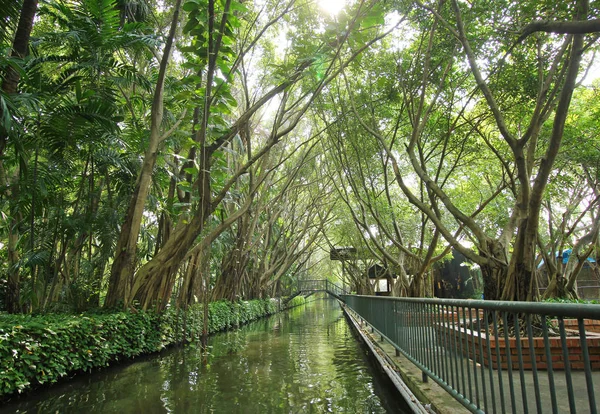Tayland Park, köprü ve yeşil ağaçlar — Stok fotoğraf