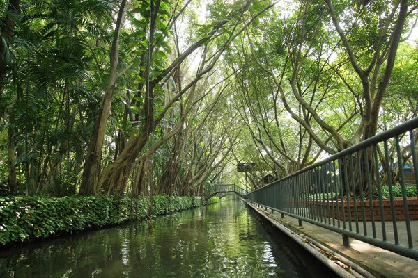 Thailand park, brücke und grüne bäume — Stockfoto