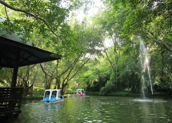 Verkeer van water fiets op vijver in het park — Stockfoto