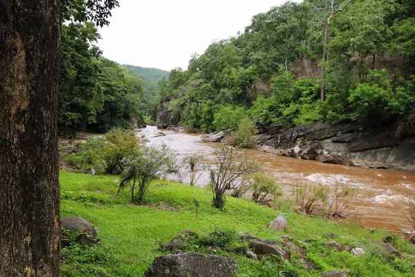 The fast movement of water in the forest — Stock Photo, Image