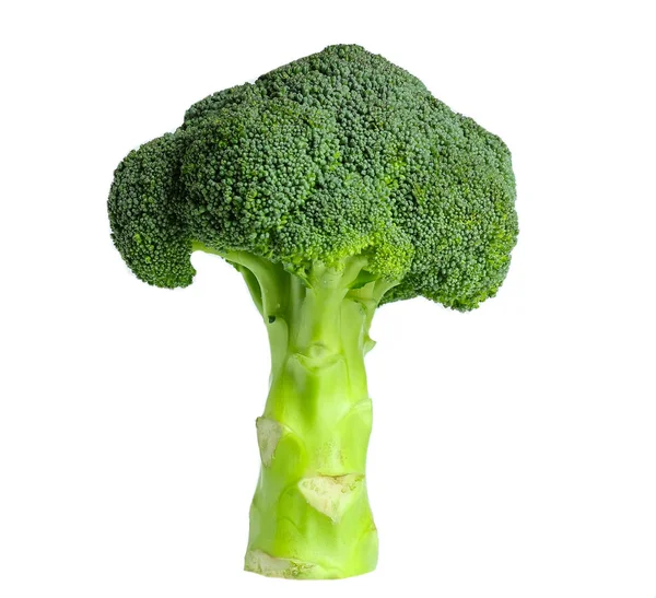 Brócoli aislado sobre fondo blanco —  Fotos de Stock