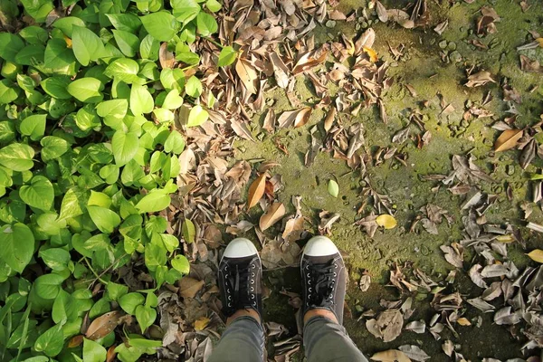 Sapatos pretos na passarela na floresta — Fotografia de Stock