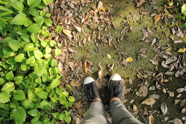 Sapatos pretos na passarela na floresta — Fotografia de Stock