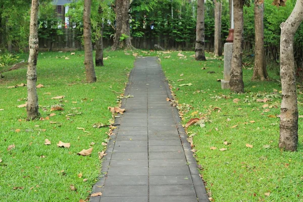 Cement block walkway in the park — Stock Photo, Image