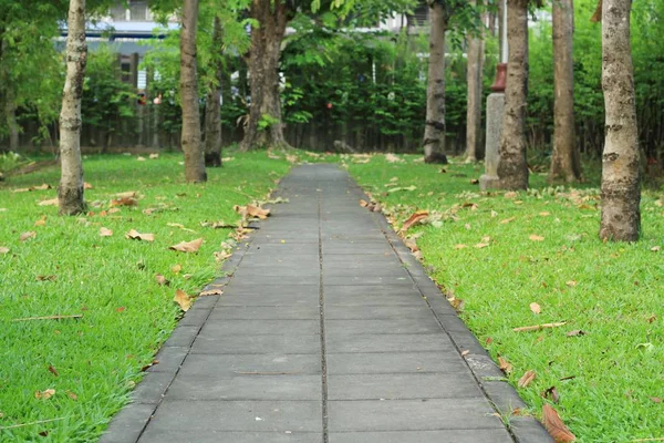 Betonklotz-Gehweg im Park — Stockfoto