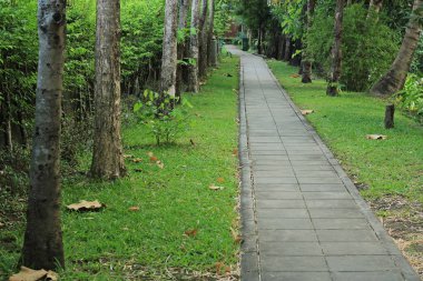 Çimento blok kaldırım Park