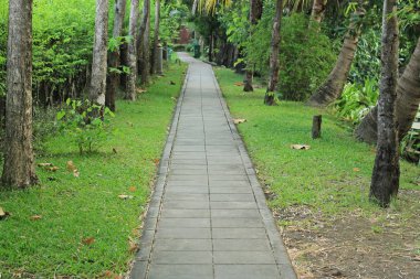 Çimento blok kaldırım Park