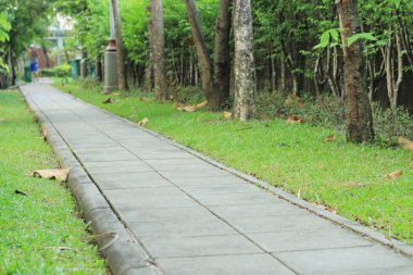 Çimento blok kaldırım Park