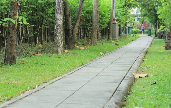 在公园里的水泥块走道 — 图库照片