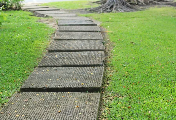 Passerelle de bloc de ciment dans le parc — Photo