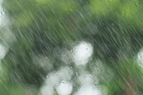 窓に雨が降り — ストック写真