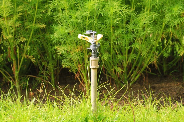 Aspersor de césped de jardín automático —  Fotos de Stock