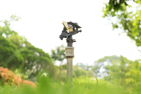 自动花园草坪洒水器 — 图库照片
