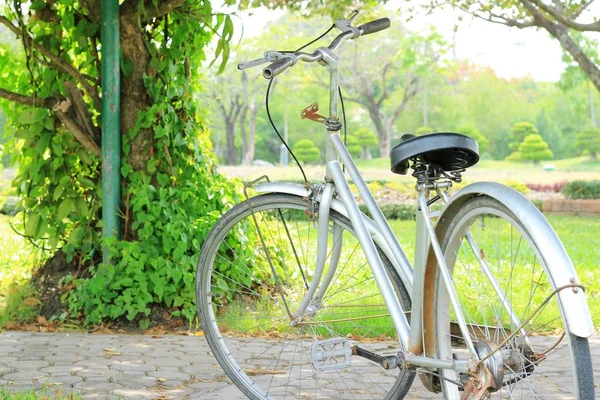 Vintage bicycle in garden — Stock Photo, Image