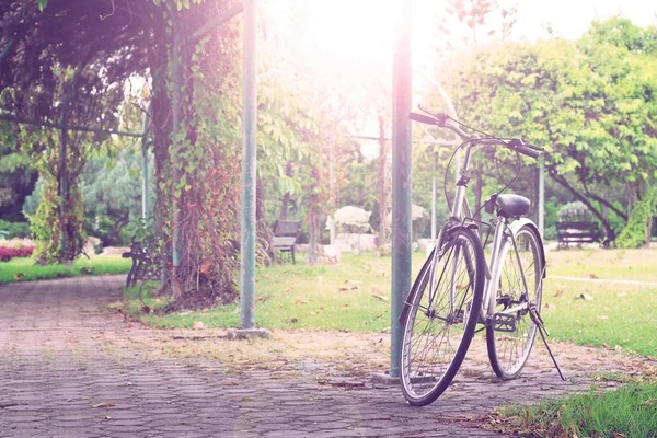 Bicicleta vintage no verão — Fotografia de Stock