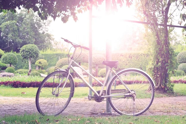 Vintage rowerów na lato — Zdjęcie stockowe