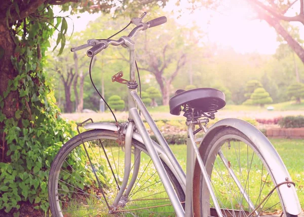 Vintage bicycle on summer — Stock Photo, Image