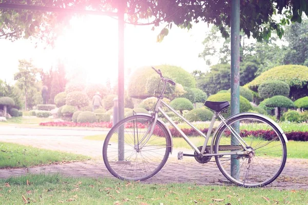 Vintage bicycle on summer — Stock Photo, Image