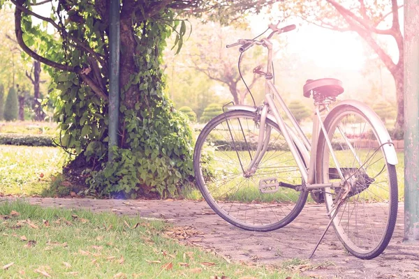 Vintage bicycle on summer — Stock Photo, Image