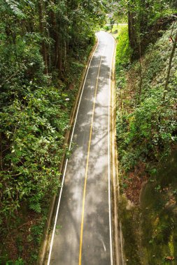 Orman yolu şehir dışında Üstten Görünüm