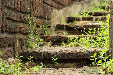 Doğal taş merdivenle bahçesinde çevre düzenlemesi