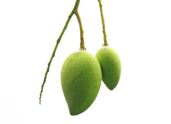 Fehér alapon zöld mango gyümölcs — Stock Fotó