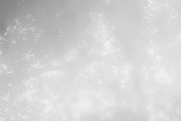 Blur fa árnyéka — Stock Fotó