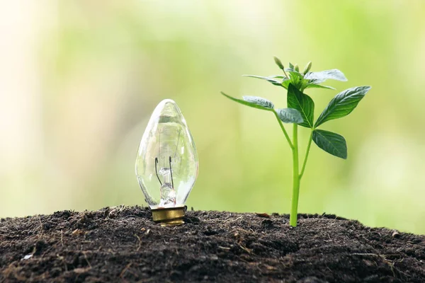 Symbolizing renewable energy, bio energy — Stock Photo, Image