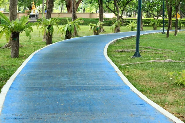 Gehweg auf der grünen Wiese im Park — Stockfoto