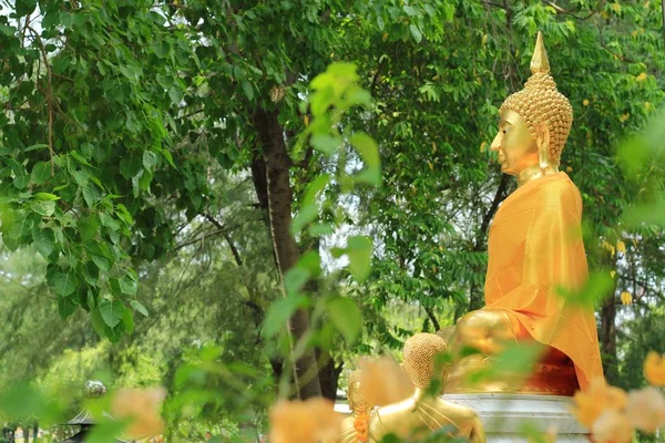 Tropikal Bahçe altın Buddha statue — Stok fotoğraf