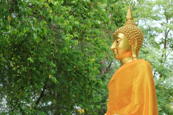 Zlatá socha Buddhy v tropické zahradě — Stock fotografie