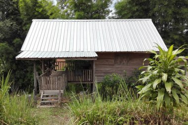 karanlık ormanın içinde eski ahşap kulübe