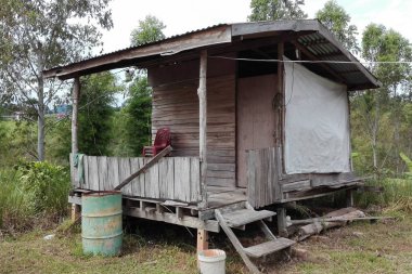 karanlık ormanın içinde eski ahşap kulübe
