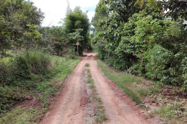 Tekerlek izleri yeşil çimenlerin üzerinde