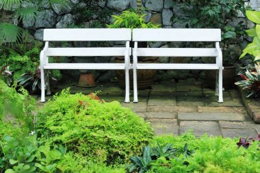 Parktaki beyaz bank.