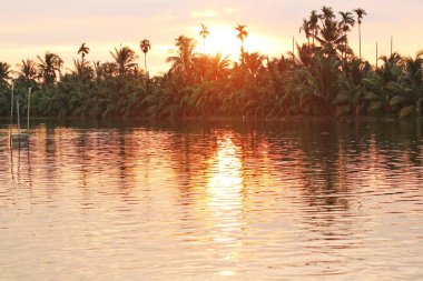 karides çiftliği ile palmiye ağacı kırmızı gökyüzü altında