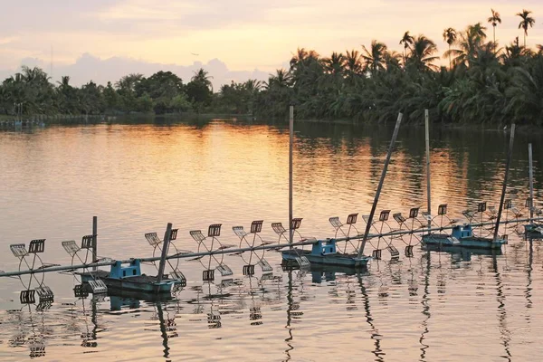 karides çiftliği kürek tekerlek Havalandırıcı ile