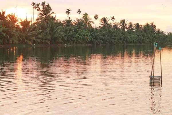 Shrimp farm with palm tree under red sky — Stock Photo, Image