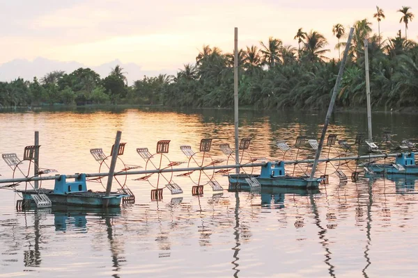 Shrimp farm with paddle wheel aerator — Stock Photo, Image