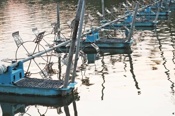 养虾场与桨水车式增氧机 图库照片