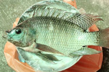 çiğ Nil tilapia balık