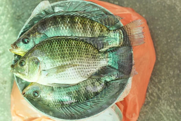 çiğ Nil tilapia balık