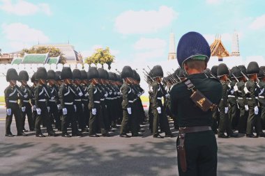 Kraliyet Tay Ordusu hareket